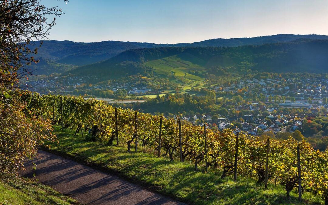 Grunderwerbsteuer Baden-Württemberg: Stuttgart, Mannheim, Heidelberg bis Ulm